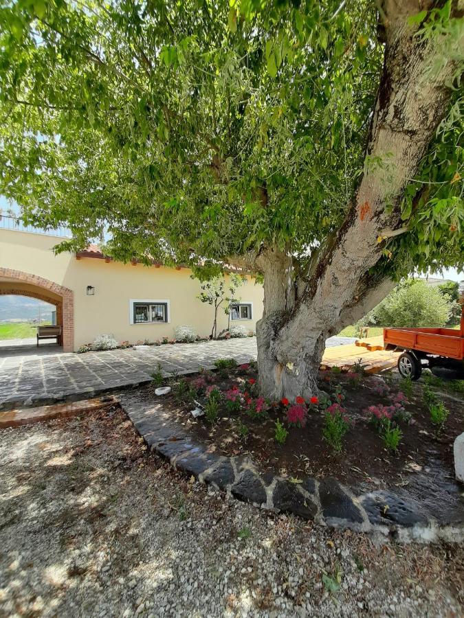 B&B Tenuta San Michele Capaccio Kültér fotó