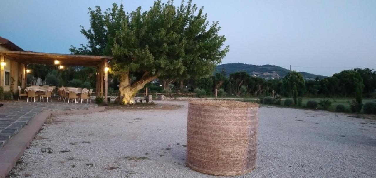 B&B Tenuta San Michele Capaccio Kültér fotó