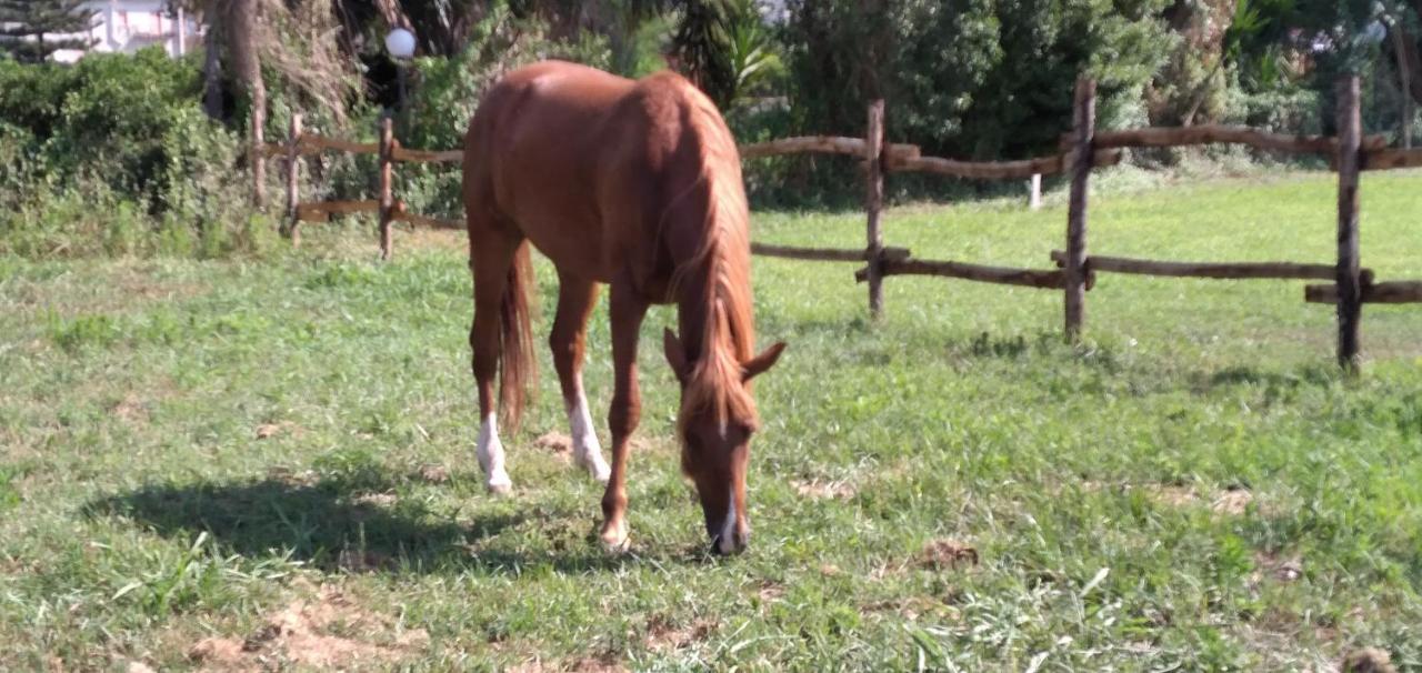 B&B Tenuta San Michele Capaccio Kültér fotó