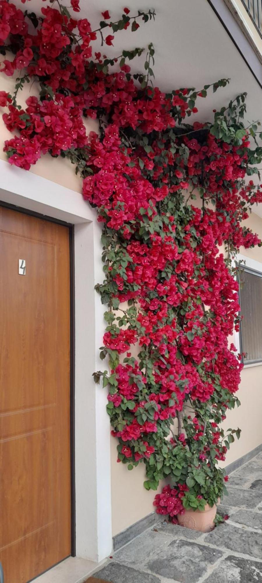 B&B Tenuta San Michele Capaccio Kültér fotó